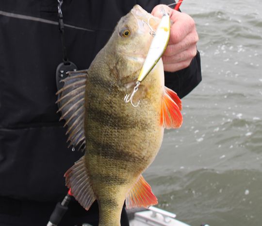 Pêcher à la bonne profondeur