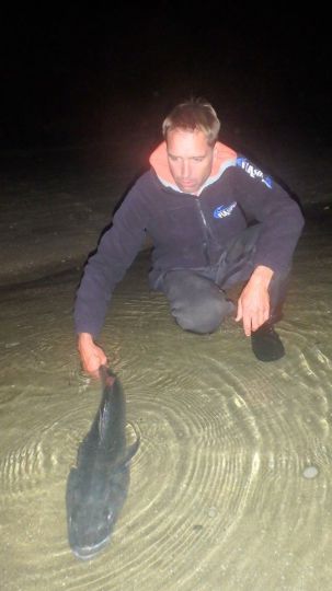 Pêche de nuit