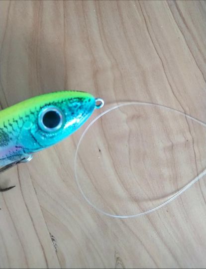 Noeud de pêche Palomar
