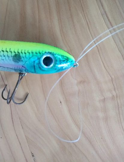 Noeud de pêche Palomar
