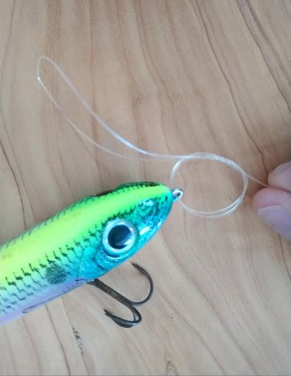 Noeud de pêche Palomar