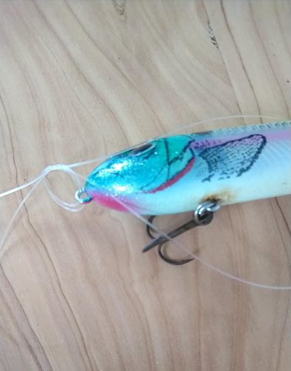 Noeud de pêche Palomar