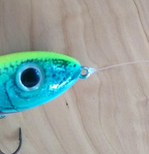 Noeud de pêche Palomar