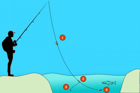Technique de pêche en nymphe au toc