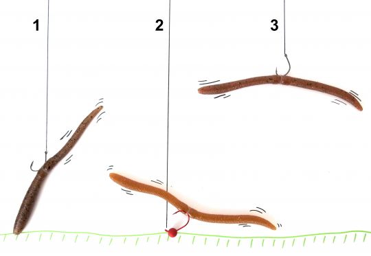 1) Neko Rig 2) Inch Wacky 3) Wacky