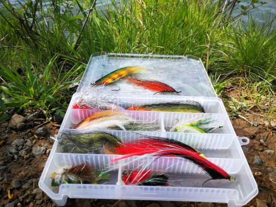 boite-streamer-carnassier-brochet