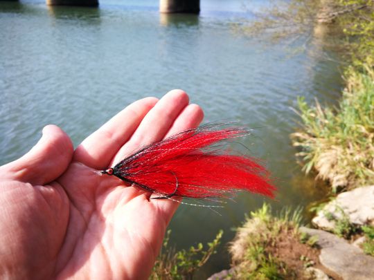 streamer-mouche-carnassier