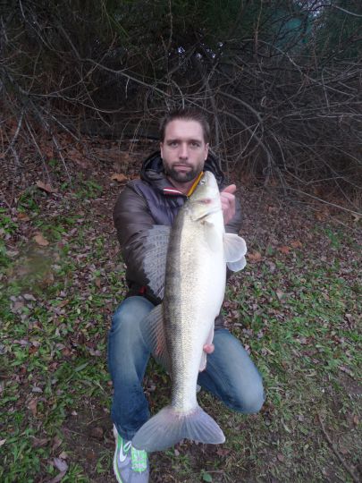 En crue, pêchez les bordures