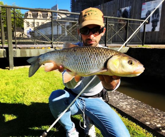 Une session de quelques heures à la sortie du travail en été suffit pour espérer toucher des poissons.