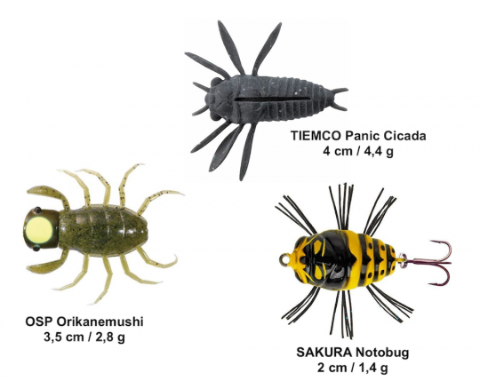 Quelques classiques de la pêche du chevesne à l'insecte.