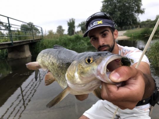 Joli poisson pris au coup du soir sur le ILLEX Woodlouse.