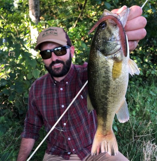 Black-bass pris sur un montage Wacky, un standard des pêches "Finesse".