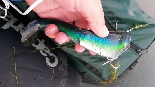Utilisez des leurres en rapport avec la taille des proies attaquées par le brochet.