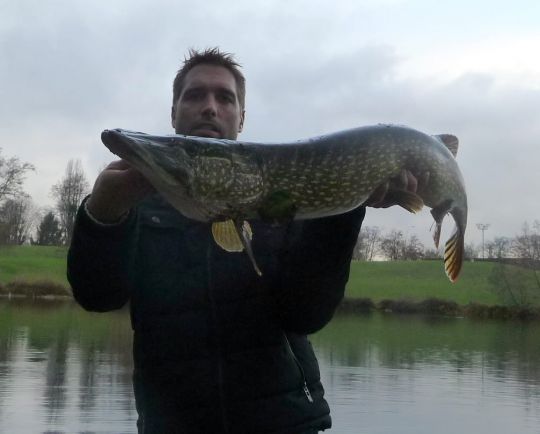 Un brochet métré capturé à l'aide d'un dexter shad 25cm coloris pike.