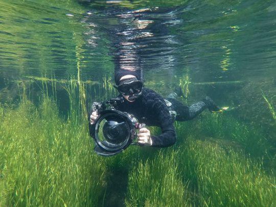 Immersion en snorkeling.