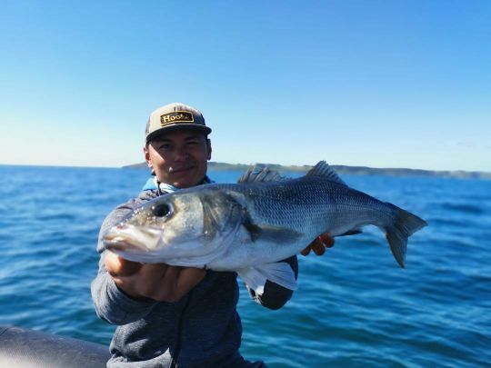 Les gros poissons sont exigeants en terme de présentation.