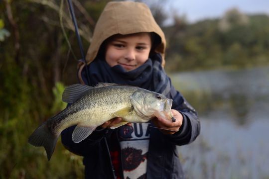 Le black-bass s'acclimate plutôt bien à la douceur de vivre corse.