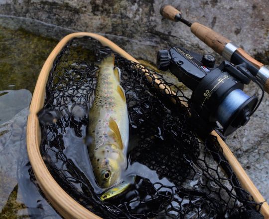 Une canne d'action rapide et un moulinet au ratio élevé sont tout indiqués pour la pêche de la truite aux minnows coulants.