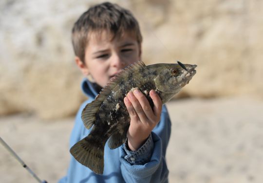 L'utilisation de casting jigs n'est pas exclue en rockfishing.