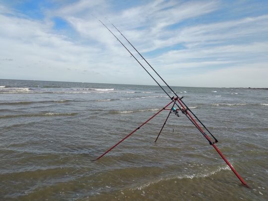 Le choix d'une canne à l'action semi-parabolique est idéal pour débuter en surfcasting.