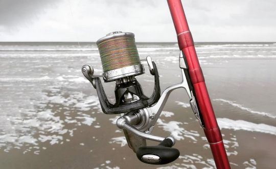 Moulinet spinning de grande taille dotée d'une bobine "long cast', typique du surfcasting.
