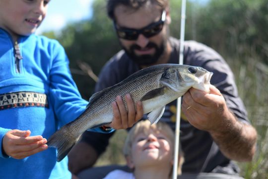 Le printemps est une des périodes propices pour rechercher le bar en eau douce.