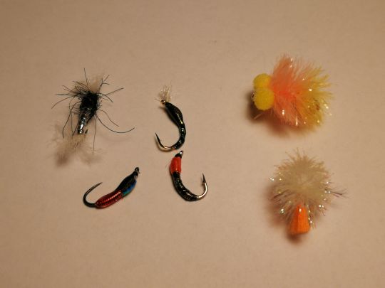 Pêcher en réservoir en chironomes, ou avec des blobs