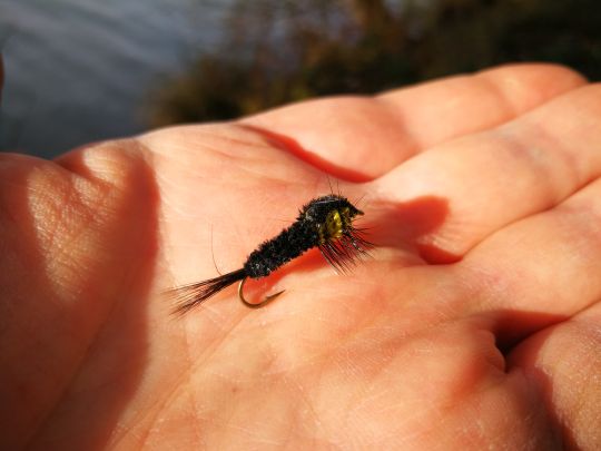 Une imitation redoutable sur les jolies truites