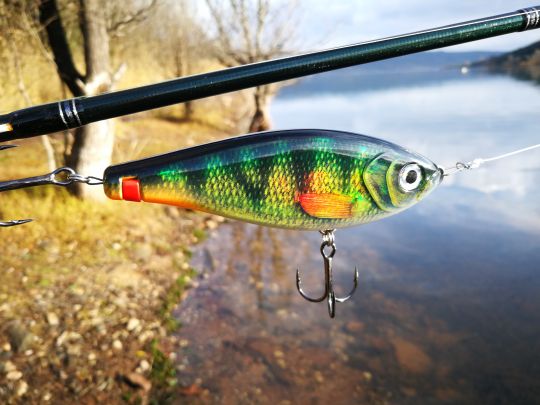 Un glide bait facile à prendre en main