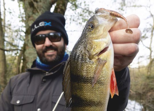 Poisson pris sur un coloris de leurre très proche de celui du fond.