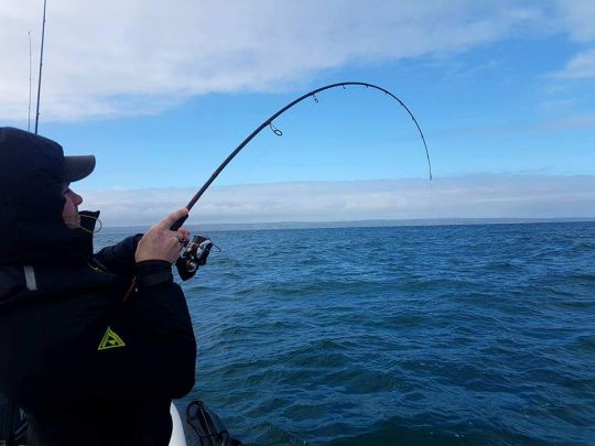 Une canne puissante est nécessaire pour ce type de pêche