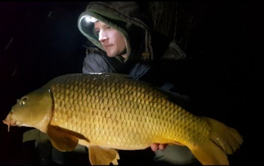 Poisson pris alors qu'il commençait de geler. L'eau n'était pas encore prise par la glace.