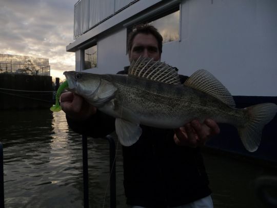 Des "gros" leurres n'ont jamais effrayé des petits poissons.
