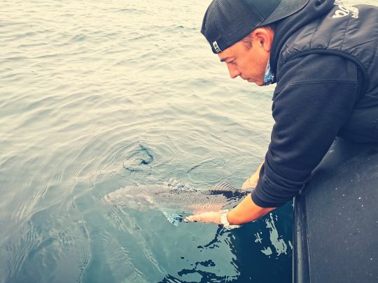 Un jolis bar de la mer d'iroise qui repart grandir.