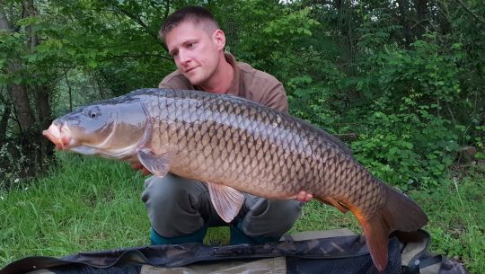 Ce poisson remonte le moral après une première casse.