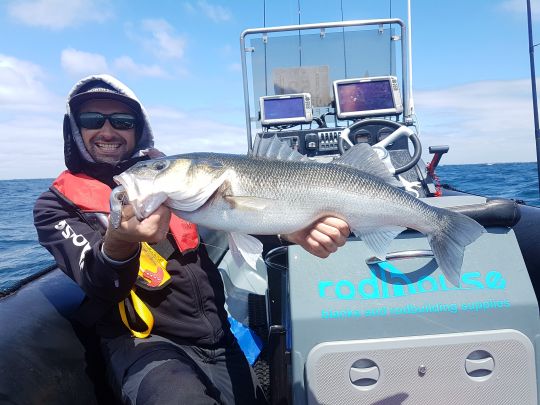 Un joli bar capturé lors du préfishing de l'open des Glenan.