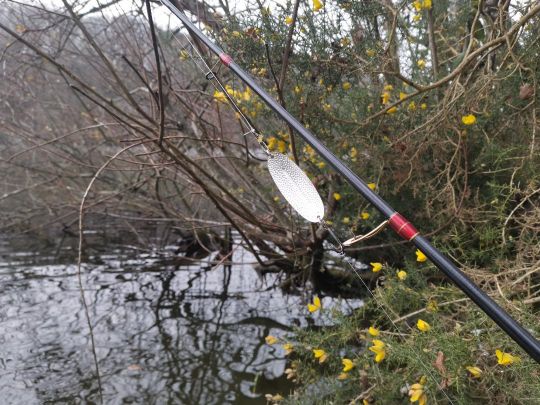 Avec des ondulantes très galbées, qui planent aussi dans l'air, je préfère pêcher en spinning pour améliorer mes distances de lancer.