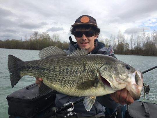 Temps venteux et couvert, les conditions idéales pour une belle session au chatterbait dans les zones exposées au vent.