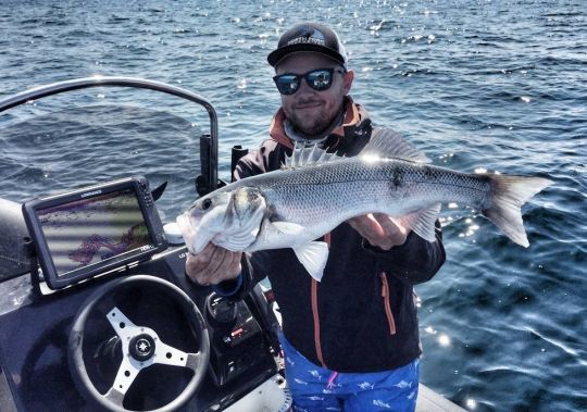 Une belle détection, un Nitro Shad, le combo gagnant !
