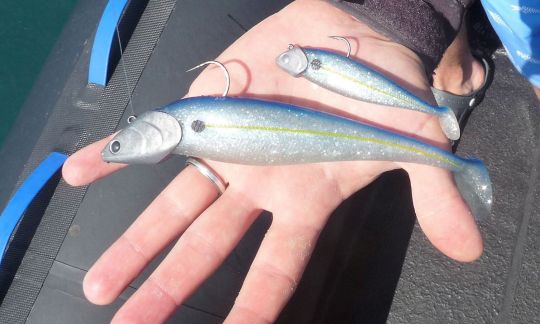 Un Nitro Shad 90 et son grand frère en 180 mm.