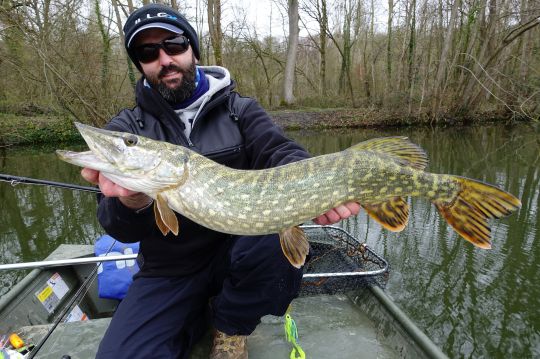 Brochet d'hiver pris sur l'association d'un Crazy Crusher Illex avec un Dexter Eel 150 en trailer.