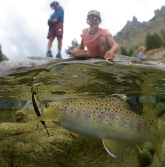 La densité, la taille et les flancs plats du Flat Tricoroll 45 S Illex en font un parfait poisson nageur pour la pêche en torrent.