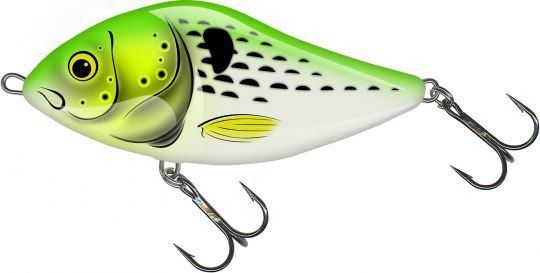Slider 16 coloris édition limitée Lime Slide.