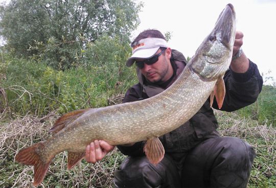 Brochet capturé sur un hard swimbait le jour de l'ouverture