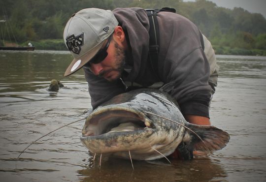 Petit ou grand, chaque silure apporte du plaisir au pêcheur