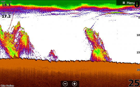 Détection avec la palette de couleurs 13 de Lowrance.