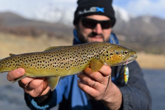 Un poisson tout en longueur pris sur une ondulante Illex Native Spoon.