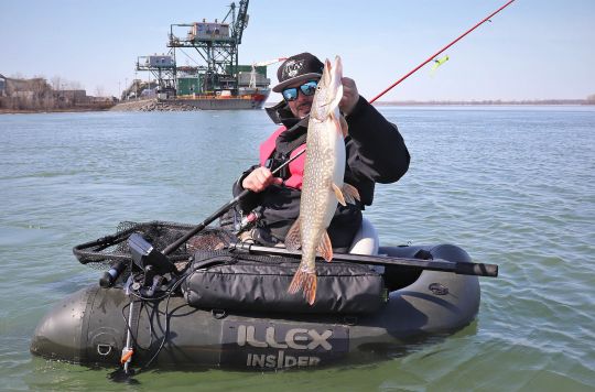 Brochet du fleuve Saint-Laurent, Québec, Canada