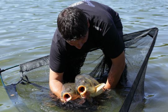 Deux cannes, deux poissons quasi en même temps...pas besoin de plus!!!