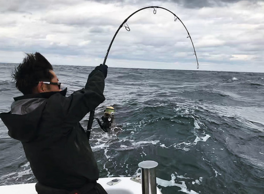 Canne Enfinity à 90° sur un gros Kingfish !